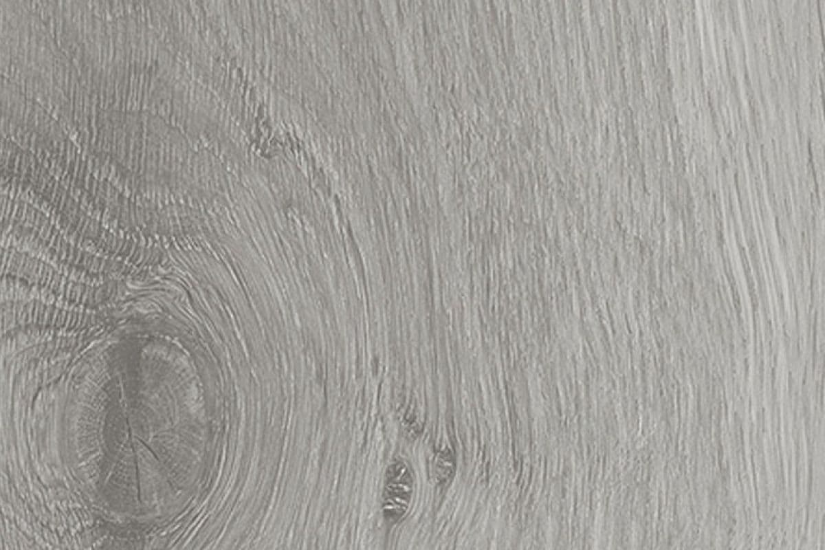Ramus Bianco EWH-5520-X — Ramus
